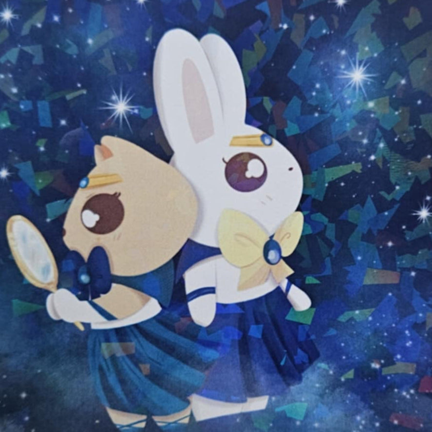 Sailor Roomies